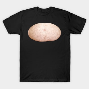 Dad Bod Dad Bag T-Shirt Funny Dad and Father Apparel T-Shirt